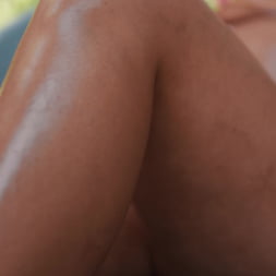 Mz Dani en 'Brazzers' Las peleas curvilíneas se hacen con el pussync (Miniatura 1)